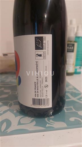 Sudoeste Côtes de Gascogne Domaine La Proprété 2023