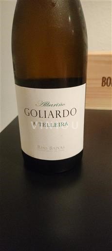 Galice Rías Baixas Bodega Forjas del Salnés Goliardo 2021