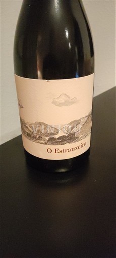 Galicia Ribeira Sacra Eulogio Pomares O estranxeiro 2021