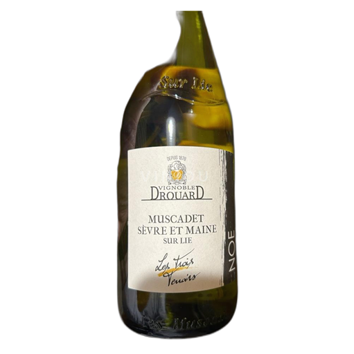 Valle della Loira Muscadet Sèvre et Maine La Noe Les Trois Terrien 2024