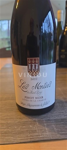 Valle della Loira Côtes de la Charité Les Montées Vie Saint Léger 2022