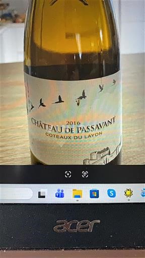 Thung lũng sông Loire Coteaux-du-layon Château Passavant 2016
