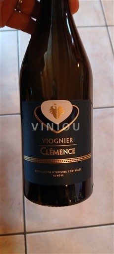 Genève Không được chỉ định Clémence Không niên vụ