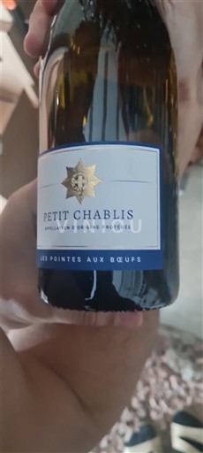 Bourgogne Petit-chablis Les Pointes Aux Oeufs Không niên vụ