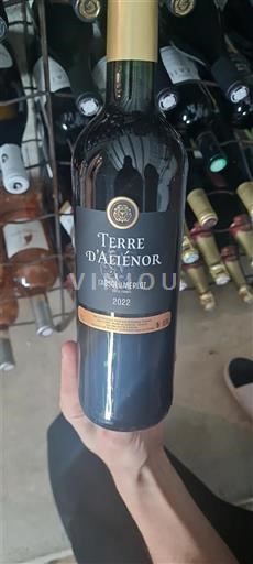 Bordeaux Terre d'Alienor 2022