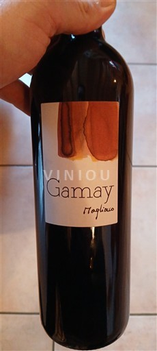 Valais Chamoson Grand Cru Daniel Magliocco & Fils Gamay 2021