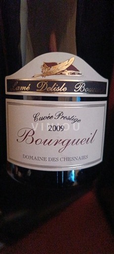 Valle della Loira Bourgueil Domaine S Chesnaies Prestige 2009