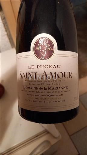 Beaujolais Saint-Amour Domaine La Marianne Le Puceau 2014