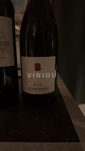 Loire Valley Saint-Nicolas-De-Bourgueil Sylvain Bruneau 2022