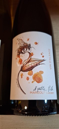 Alsácia Marzolf Lucien 8 petites filles 2022