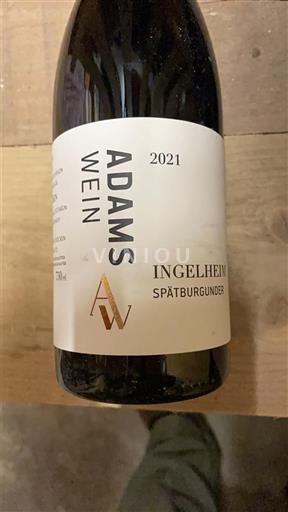 Rheinhessen Adams Wein 2021