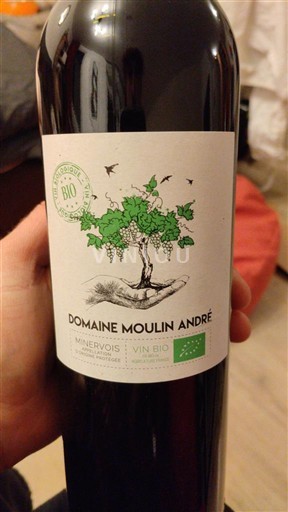 Langvedok Minervois Domaine Moulin André 2019