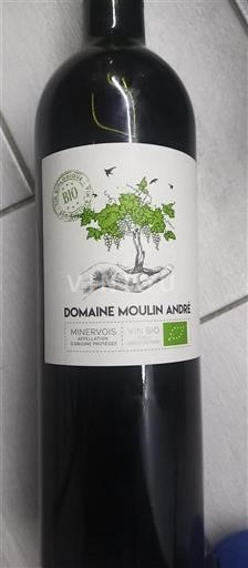 Linguadoca Minervois Domaine Moulin André 2019