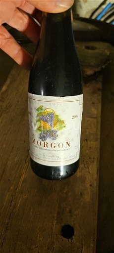 Beaujolais Morgon Domaine Bertrand 2004