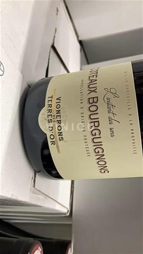 Bourgogne Coteaux bourguignons Vignerons des Terres d'Or L'instant du vin 2023