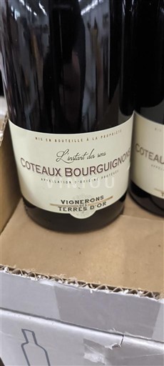 Burgundija Burgundska gricevja Vignerons des Terres d'Or L'instant du vin 2023