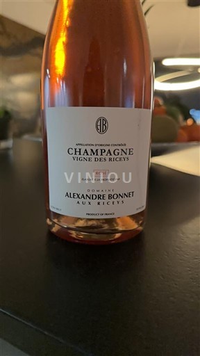 Champagne Domaine Alexandre Bonnet Vigne des Riceys 2021