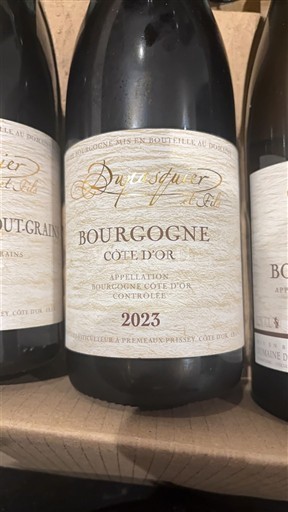 Bourgogne Bourgogne Côte d'Or Dupasquier et Fils 2023