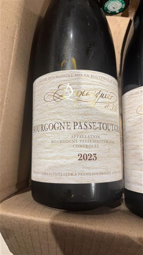 Bourgogne Bourgogne-passetoutgrain Du Pasquier 2023