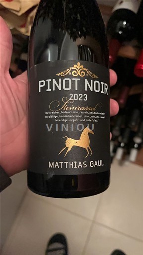 Pfalz Matthias Gaul Steinrassel 2023