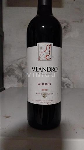 Portugal Duero Vale Meão Meandro 2022