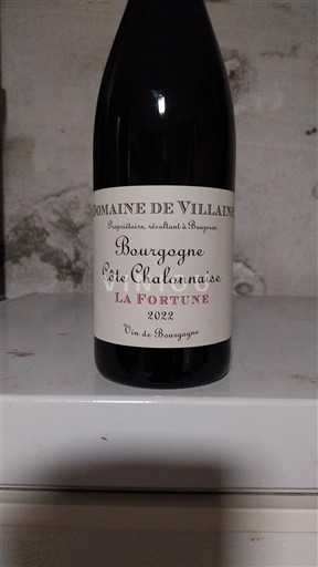Bourgogne Bourgogne-côte-chalonnaise Domaine Villaine La Fortune 2022