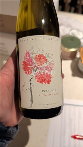 Elzas Gewurztraminer Domaine Ostertag Fronholz 2020