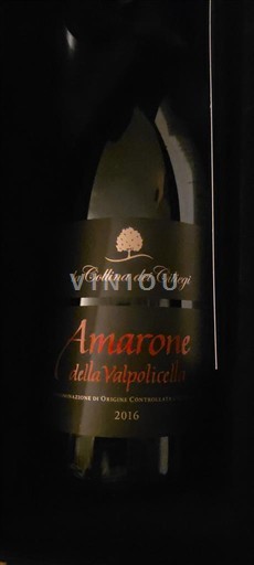 Vénétie Amarone della Valpolicella La Collina dei Ciliegi 2016