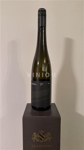 Alsacia Riesling Domaine Achillée Sin añada