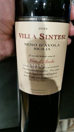 Sicilia Villa Sintesi 2024