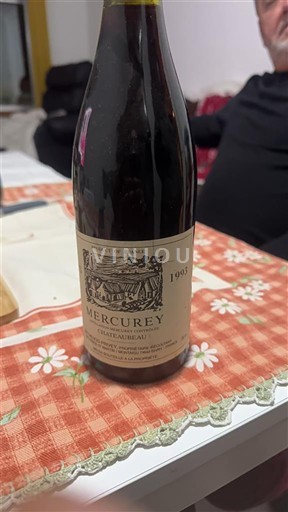 Borgogna Mercurey Château Aubailly 1995