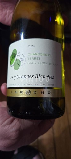Languedoc in Roussillon Pays d'Oc Laroche Les 3 Grappes Blanches 2024