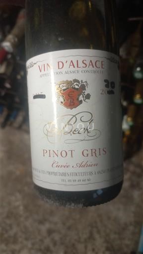 Alsace Beck Adrien 2020