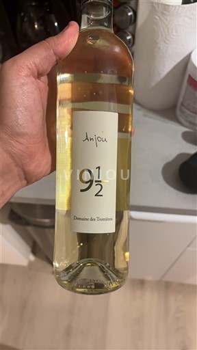 Valle della Loira Anjou Domaine S Trottières 9 1/2 2022