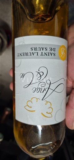 Tây Nam Gaillac Saint Laurent de Saurs L'Ange & le Ciel 2016