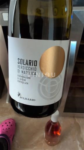 Marche Verdicchio di Matelica Belisario Solario 2024