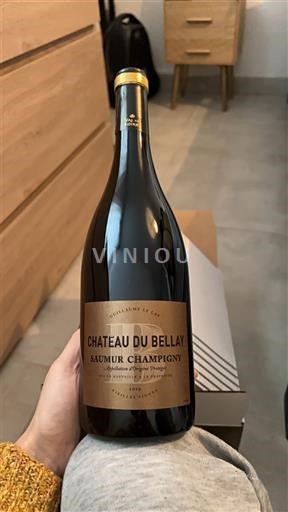 Valle della Loira Saumur-Champigny Château Bellay 2019