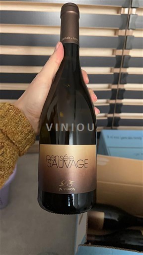 Languedoc in Roussillon Côtes de Thau Domaine S Pothiers Pensée Sauvage 2024