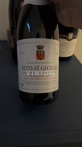 Bourgogne Nuits-saint-georges Domaine La Perrière En La Perrière Noblot 2024