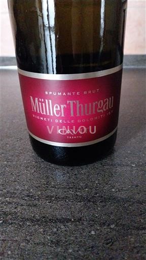 Trentino-Alto Ádige Vigneti delle Dolomiti Cavit Müller Thurgau Spumante Brut Não Sazonado