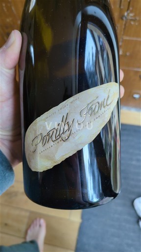 Dolina Loare Pouilly-fumé Domaine Champeau Silex 2024
