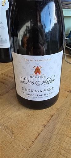 Beaujolais Moulin-à-vent Domaine S Ailes 2023