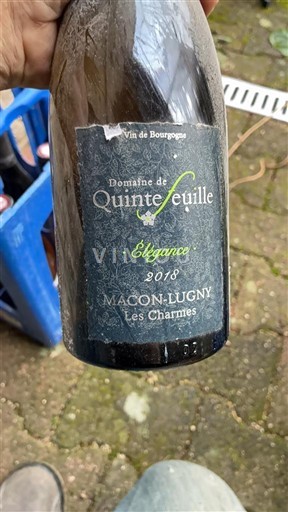 Bourgogne Mâcon và Mâcon-villages Domaine Quintefeuille Elégance 2018