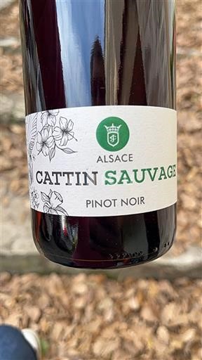 Alsácia Cattin Sauvage 2024
