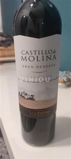 Thung lũng Maule Không được chỉ định Castillo de Molina Gran Reserva 2023