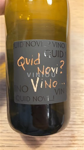 Loiredalen Anjou Quid Novi Vino 2024