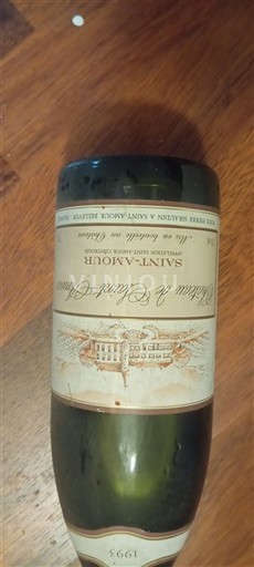 Beaujolais Saint-Amour Château La Grille 1993
