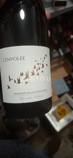 Thung lũng sông Loire Saint-Nicolas-De-Bourgueil Domaine La Cotelleraie L'Envolée 2020