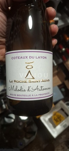 Loire Valley Coteaux du Layon La roche Saint Aens Mélodie d'Automne 2023