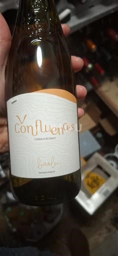 Thung lũng sông Loire Coteaux-du-layon Ogereau Confluences 2023